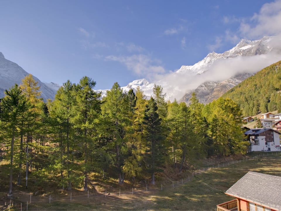 810, Vierzimmer Whg Apartment in Saas-Fee