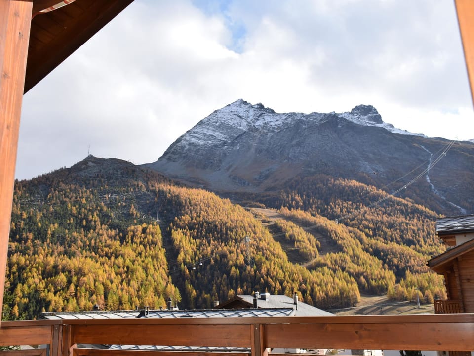 Flamingo Appartement/Fewo, Dusche und Bad, WC, 4 oder mehr Schlafräume Apartment in Saas-Fee