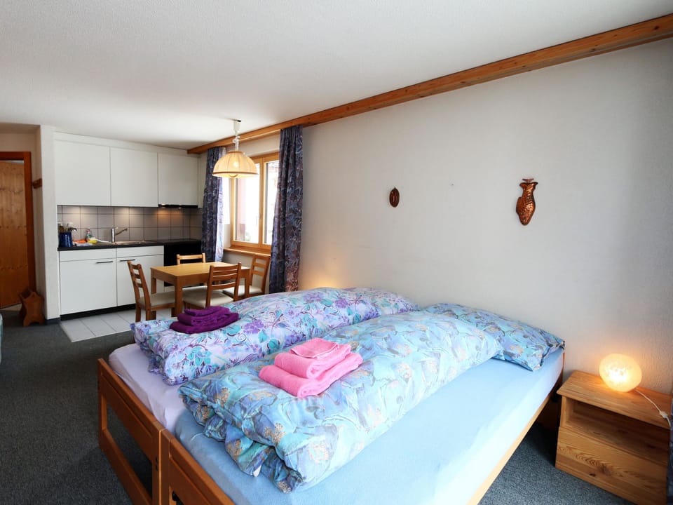 Hirsch Appartement/Fewo 2-Bettwohnung Nr. 23 Apartment in Saas-Fee