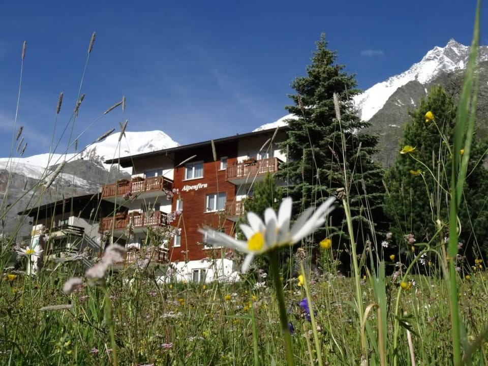 4-Bettwohnung Nr. 4 Apartment in Saas-Fee