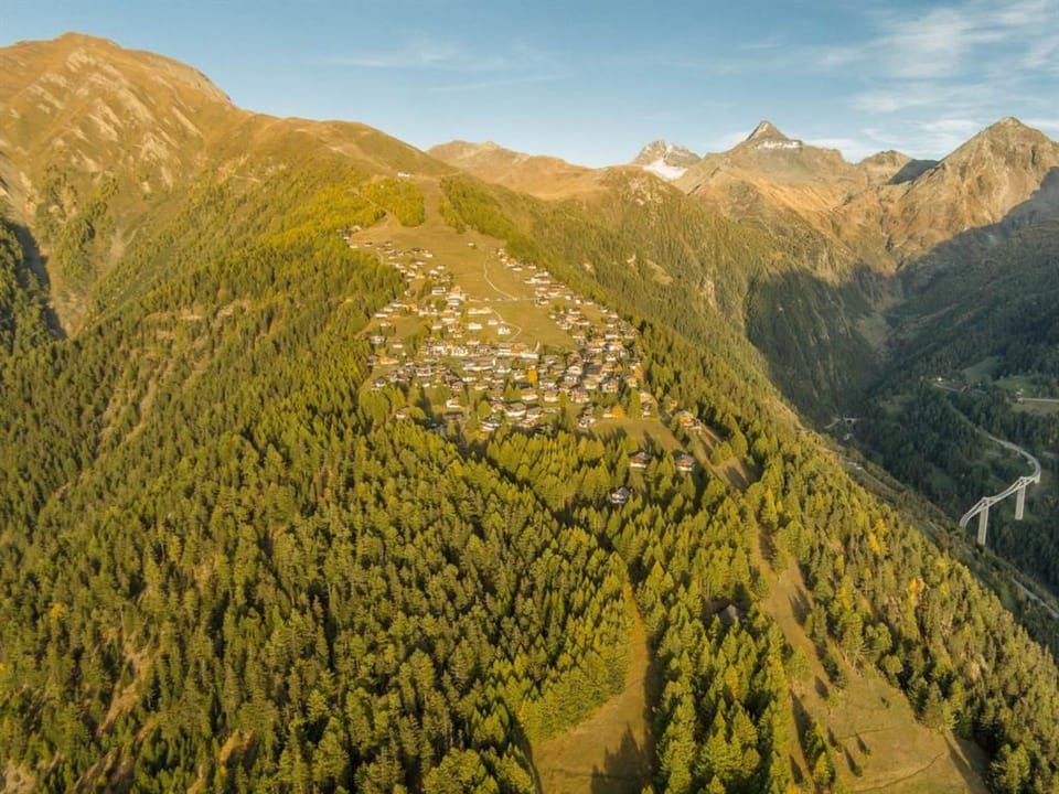 Chalet Silberdistel Appartement/Fewo, Dusche, WC 6-Bettwohnung Apartment in Canton of Valais