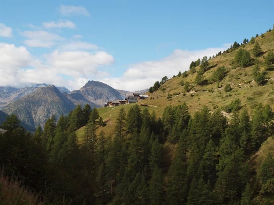 Chalet Gerbera Appartement/Fewo, Bad, WC 5-Bettwohnung Apartment in Canton of Valais