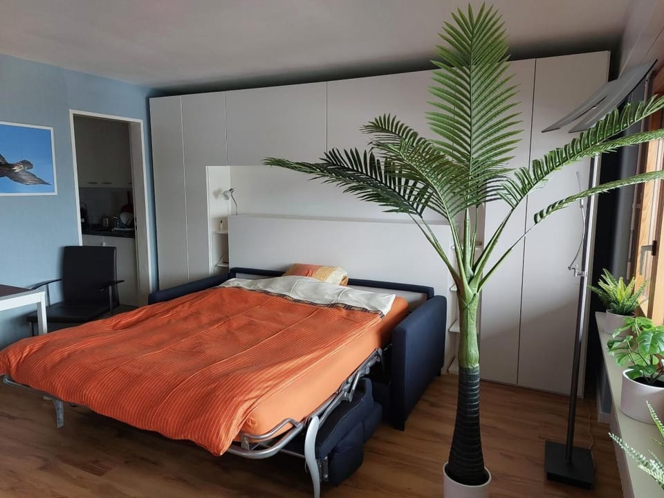Renoviertes Studio mit mäjestätischer Aussicht Apartment in Canton of Valais