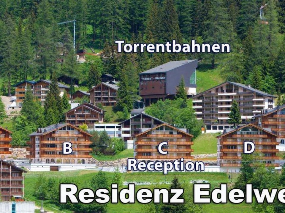 Edelweiss D 02 # 4-bed apartment, Dusche, WC 4-Bettwohnung, Dusche, WC Apartment in Canton of Valais