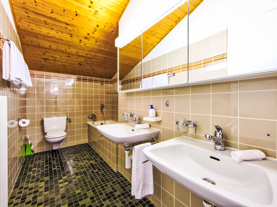 Bathroom / Wellness