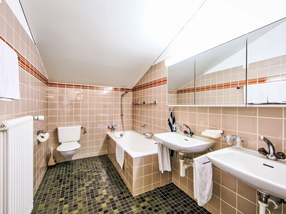 Bathroom / Wellness