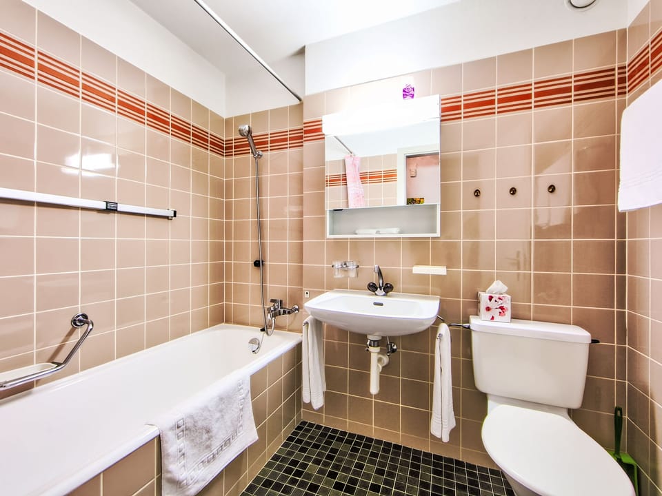 Bathroom / Wellness