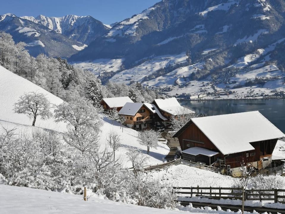 Holzhaus auf Lamahof Vacation rental in Canton of Lucerne