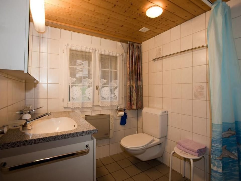 Bathroom / Wellness