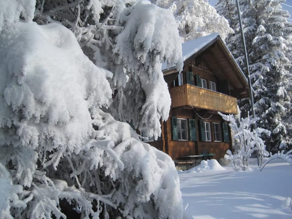 Alpidyll Vacation rental in Canton of Bern (Region)