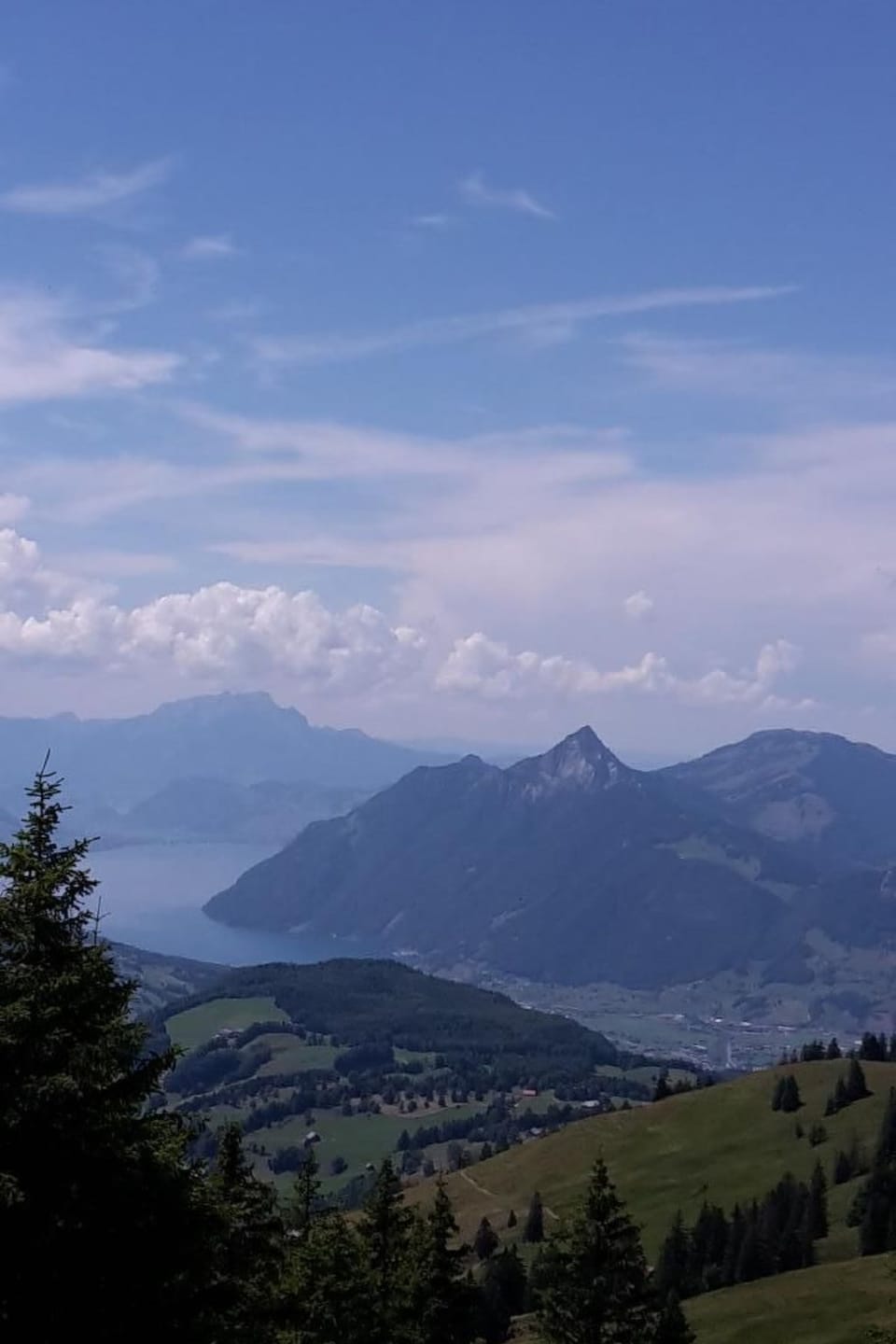 View