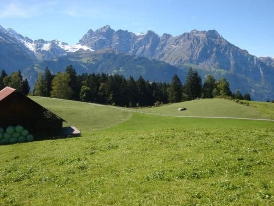 Ferien im grünen links Apartment in Canton of Grisons