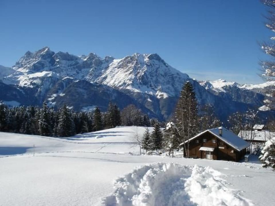 Ferien im grünen rechts Apartment in Canton of Grisons