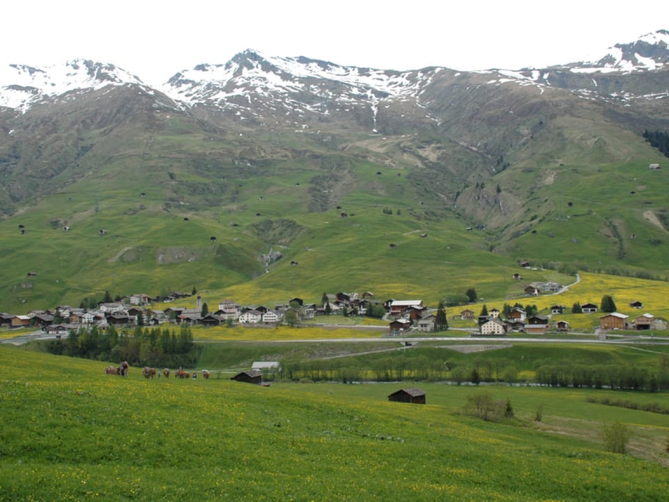 View