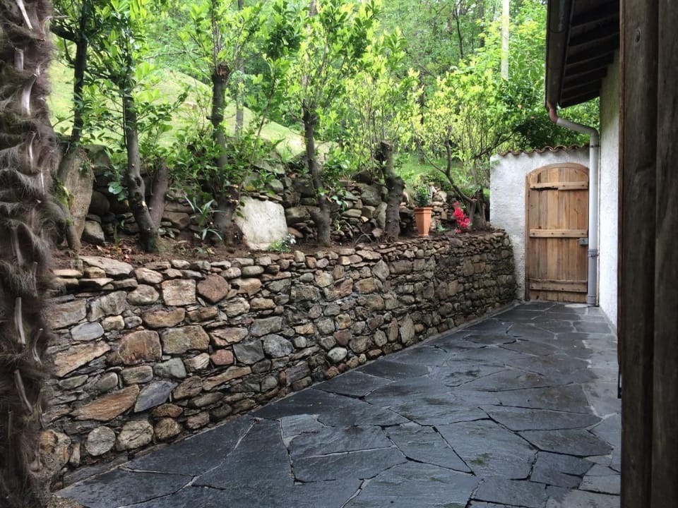 Casa Ines mit Grotto und Pergola Apartment in Locarno