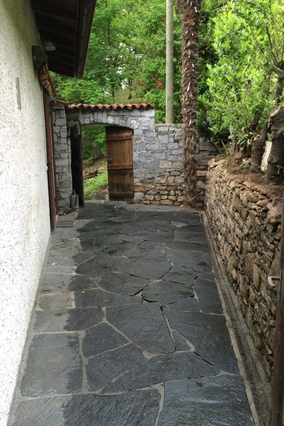 Casa Ines mit Grotto und Pergola Apartment in Locarno