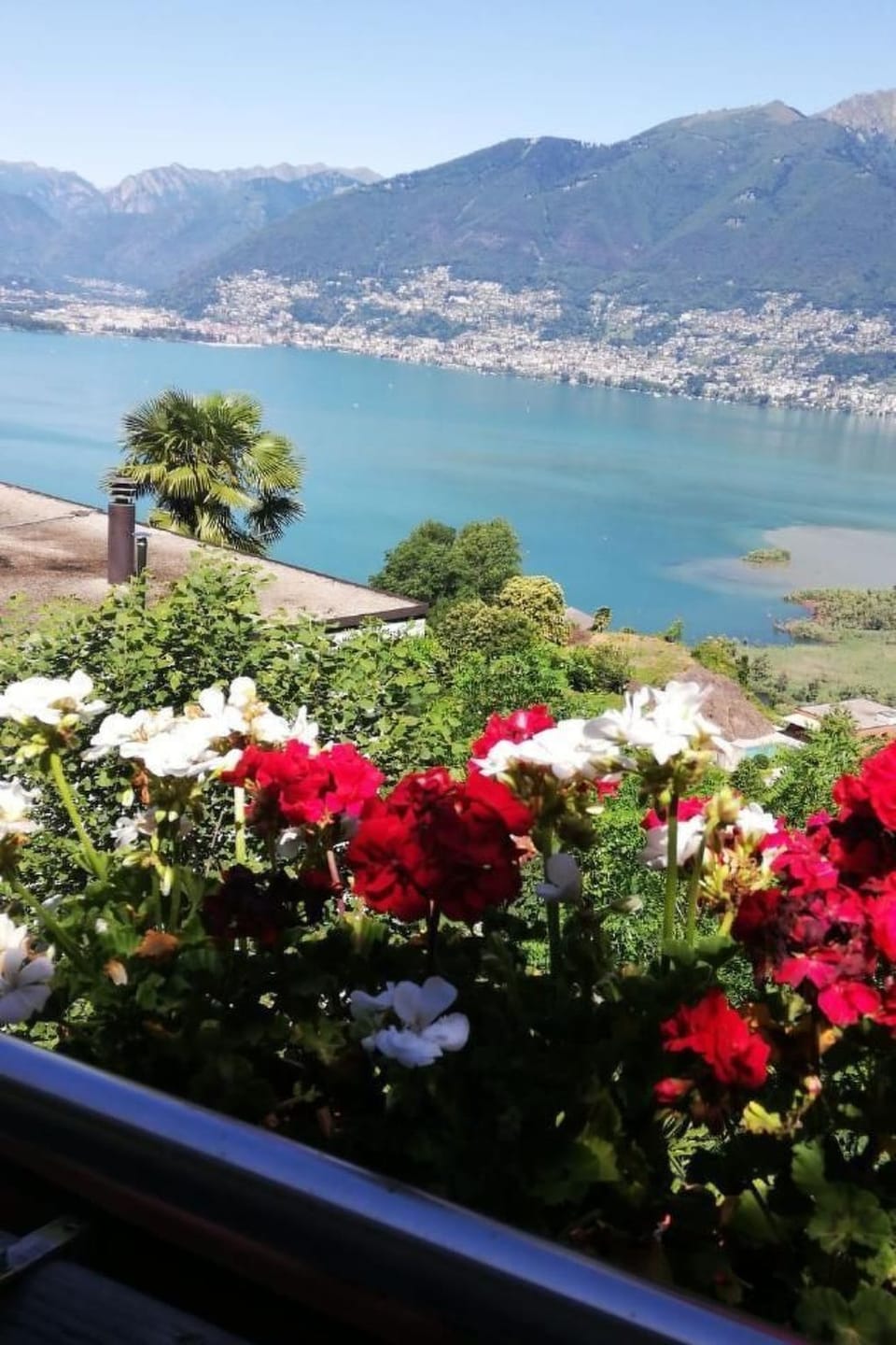 Casa Ines - 1 1/2 Zimmer Whg Terrasse mit Seesic Apartment in Locarno
