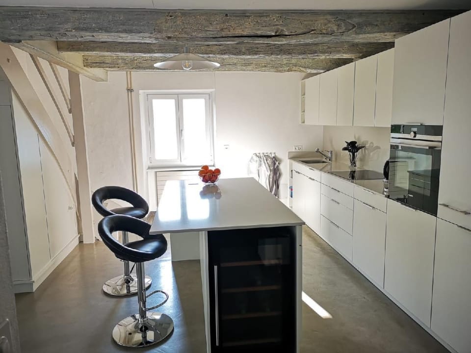 La Tortue Vacation rental in Canton of Ticino