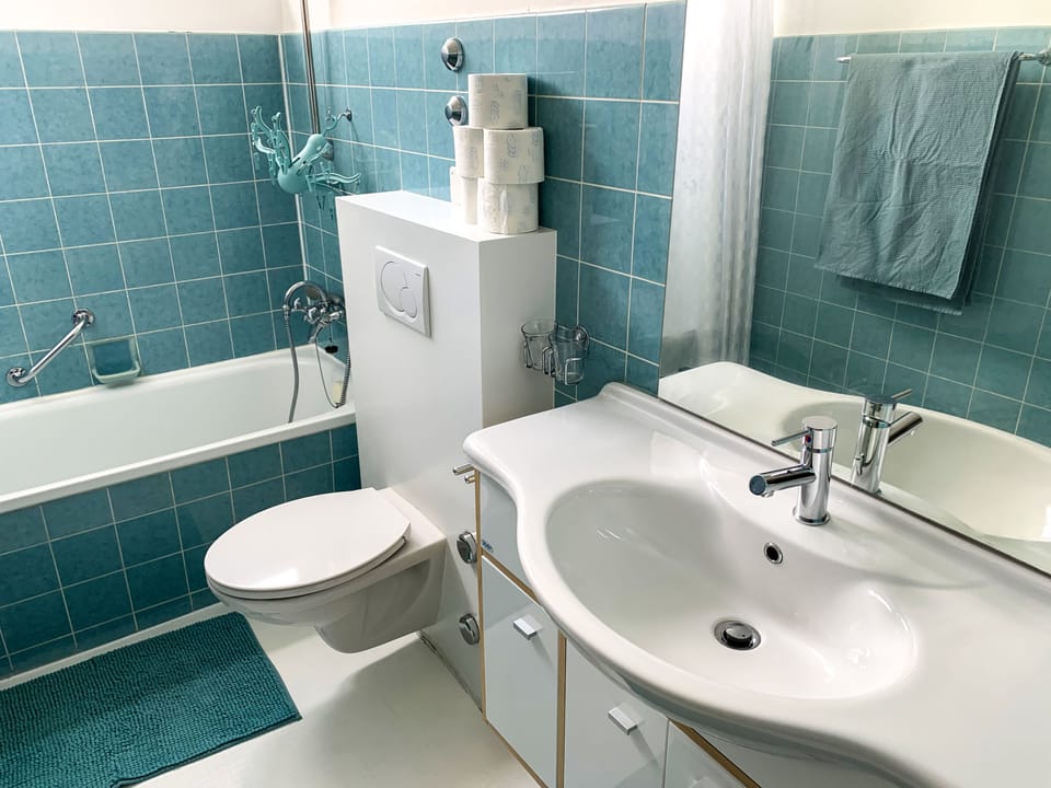 Bathroom / Wellness