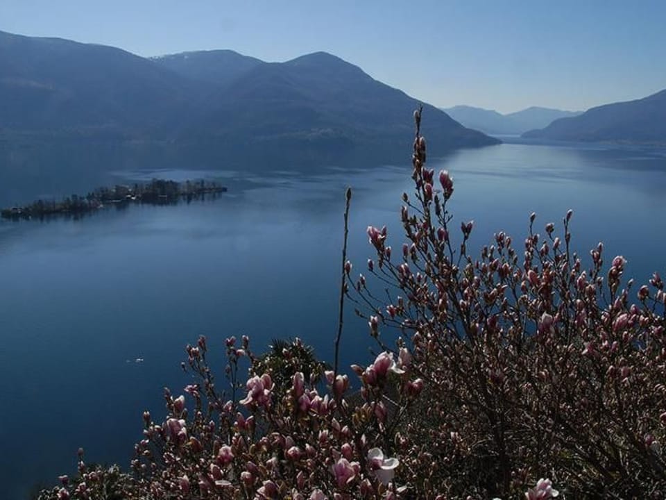 Casa Leula 2 1/2 Zimmerwohnung Apartment in Ascona