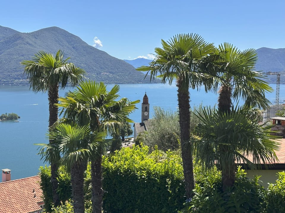 Al Pendio Apartment in Ascona