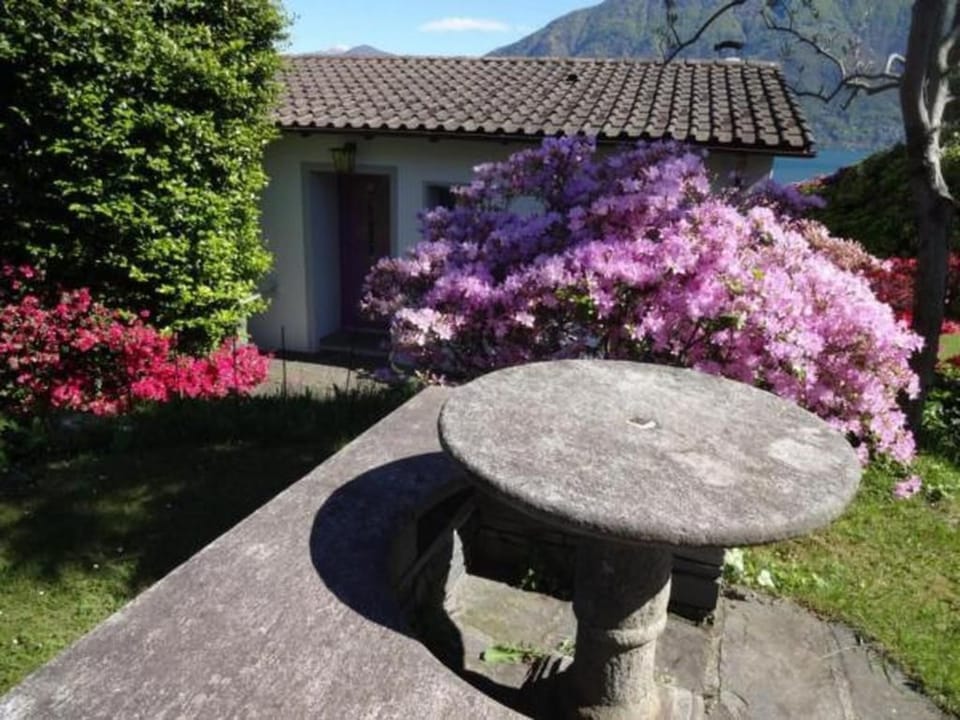 Öko-Haus P Pool Garten herrlicher Seeblick Vacation rental in Locarno