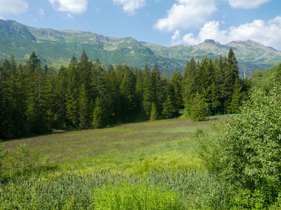 Place
