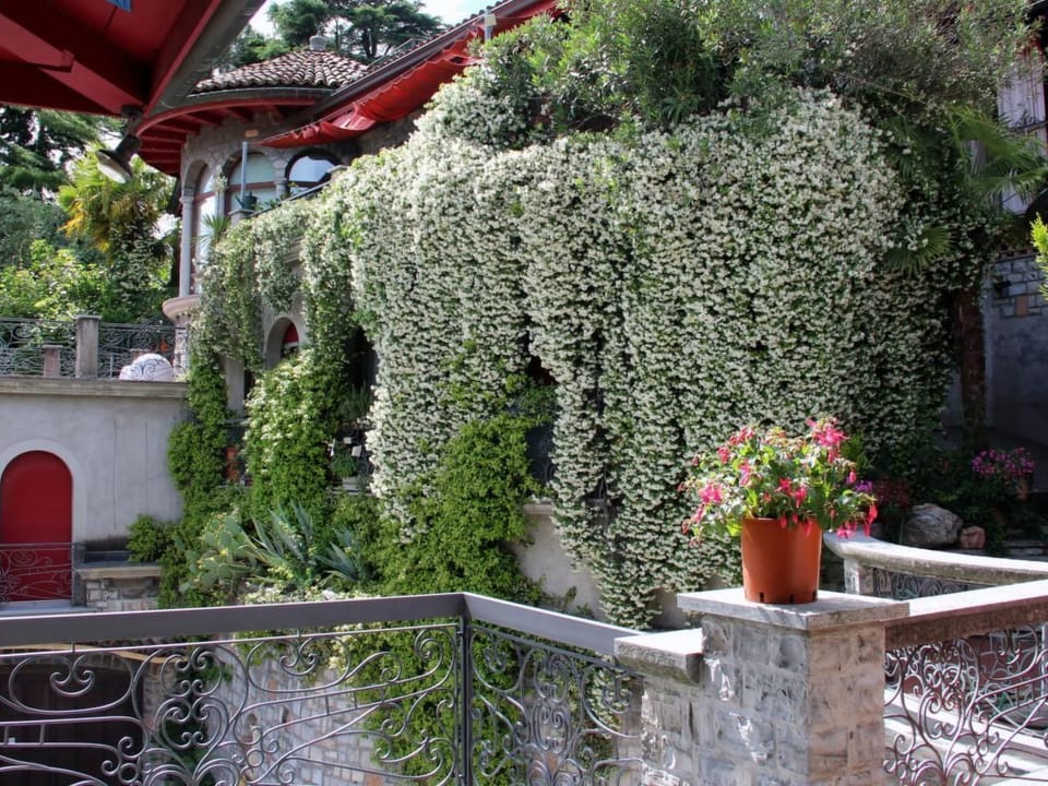 Agave Apartment in Lugano