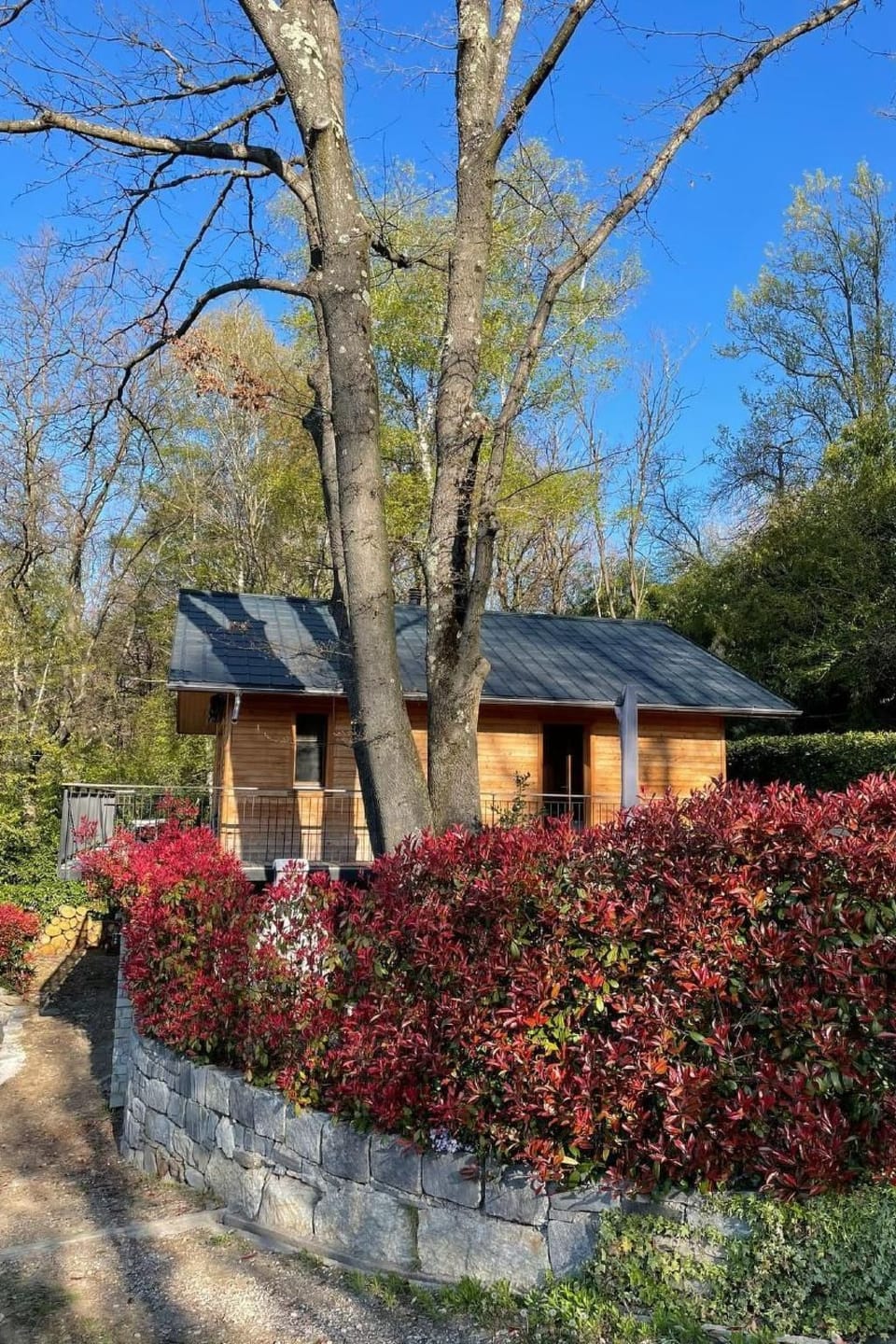 La Graziosa Vacation rental in Canton of Ticino