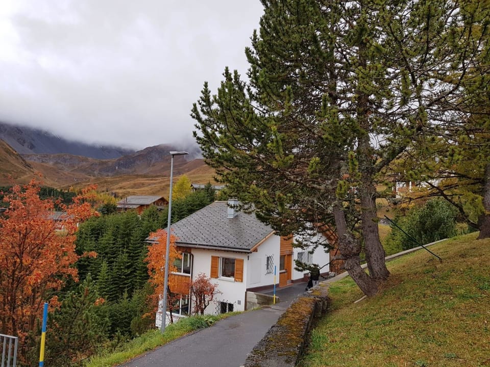 6-Bettwohnung Apartment in Arosa