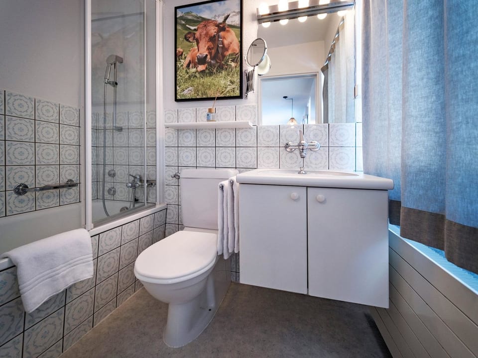 Bathroom / Wellness