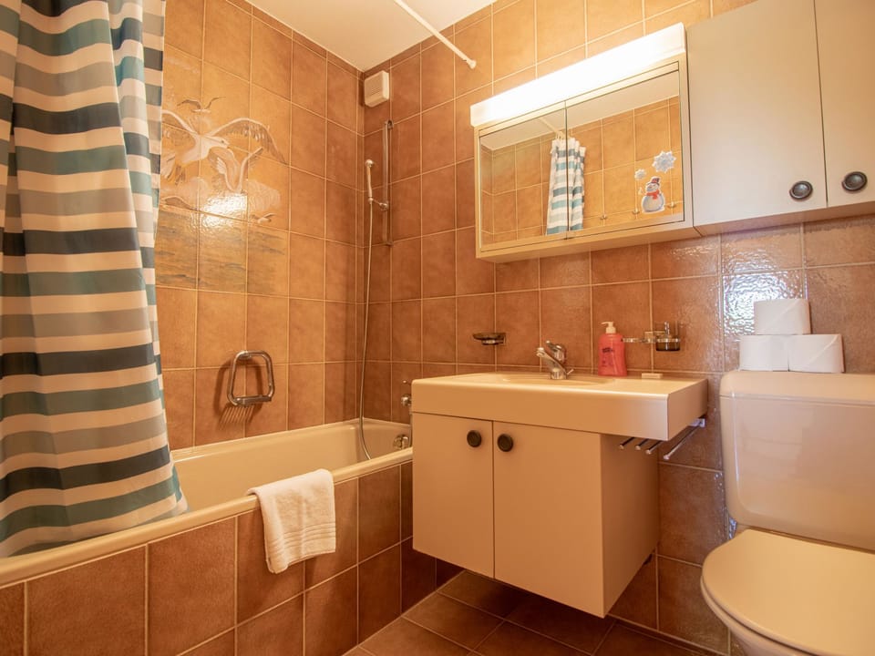 Bathroom / Wellness