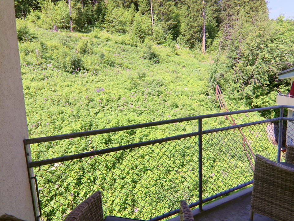 Haldahus 3 Apartment in Arosa