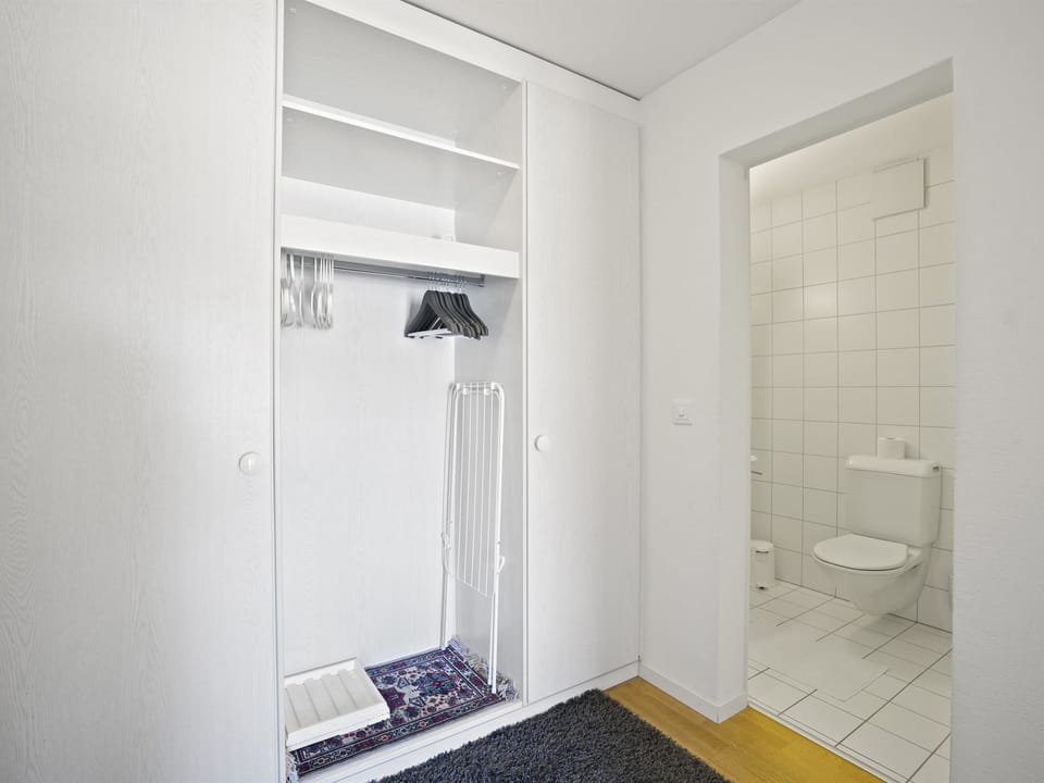 Moser Appartement/Fewo Ferienwohnung Moser Apartment in Canton of Grisons