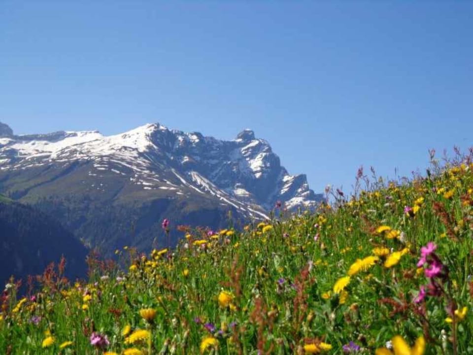 Gün Derungs, Safien-Platz, (Safien Platz). Apartment in Canton of Grisons