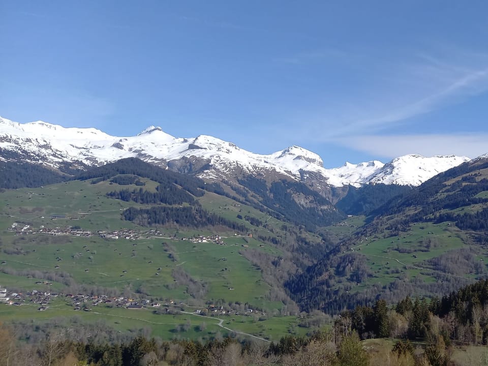 View