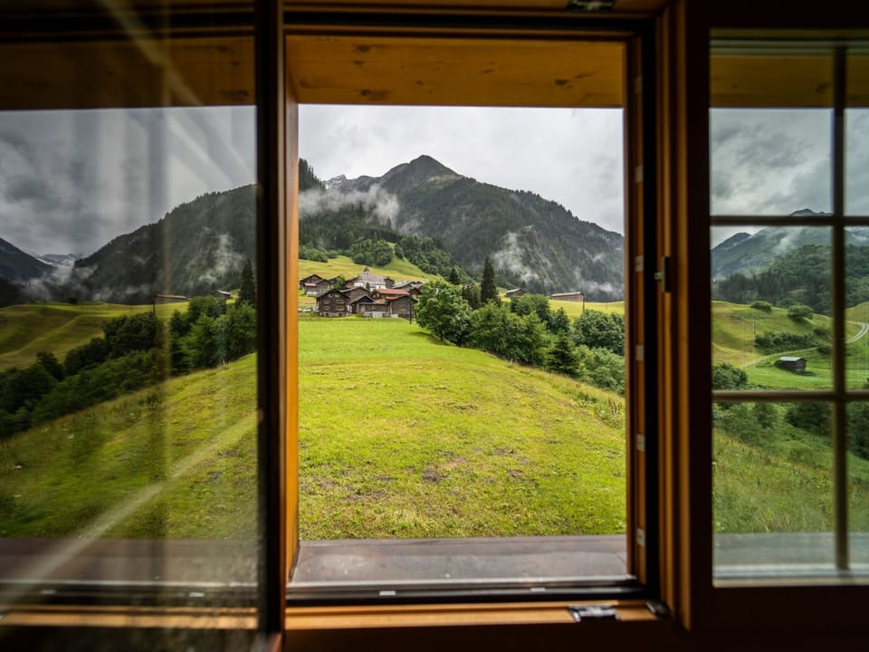View