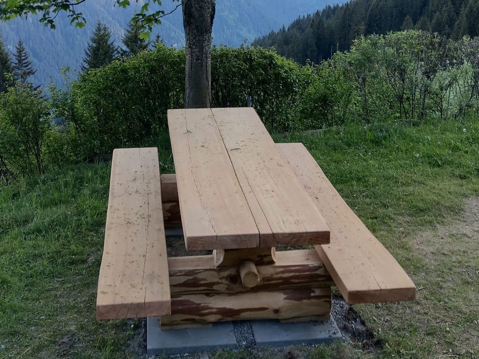Maiensäss Camona, Siat, (Siat). Apartment in Canton of Grisons