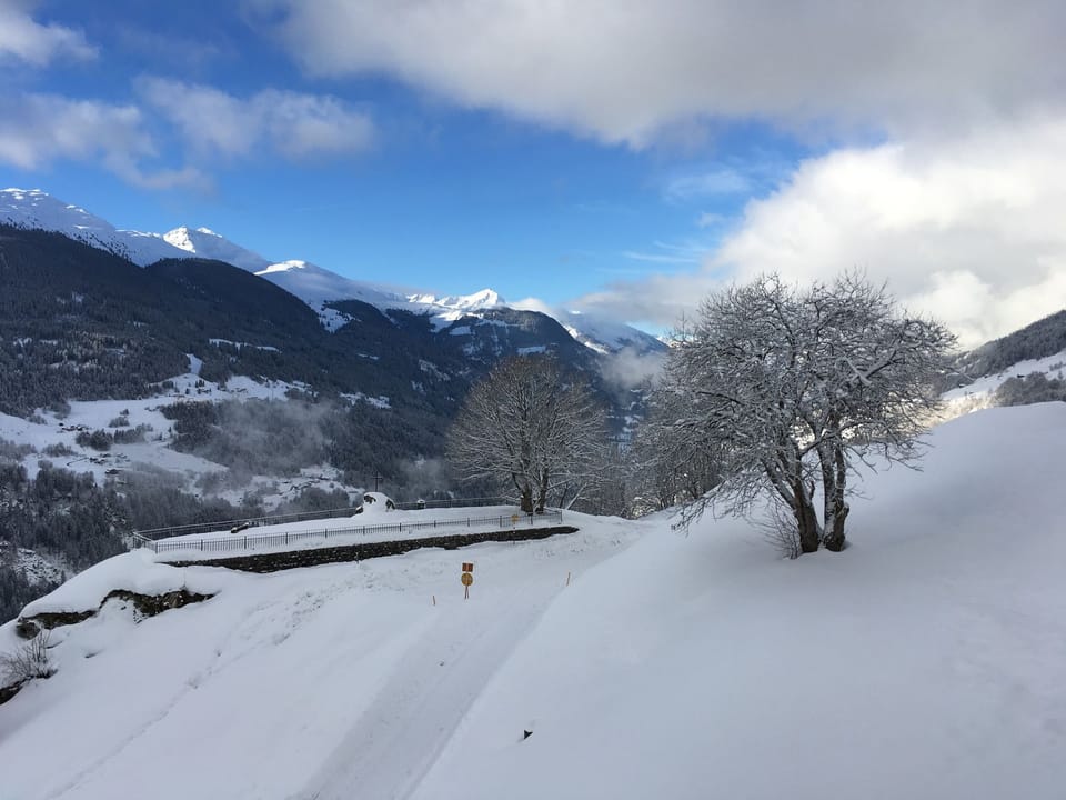 Casa Splendusa Richter, Brigels, (Breil/Brigels). Apartment in Canton of Grisons