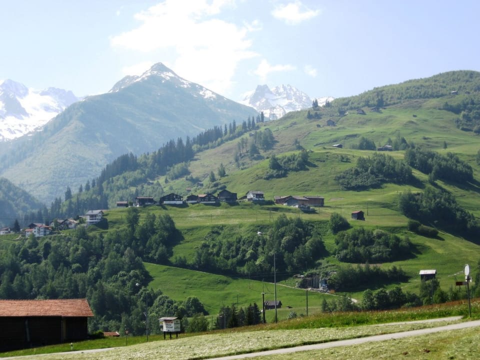 View