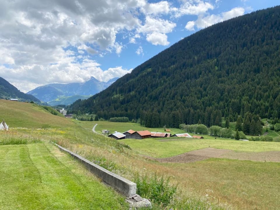 View