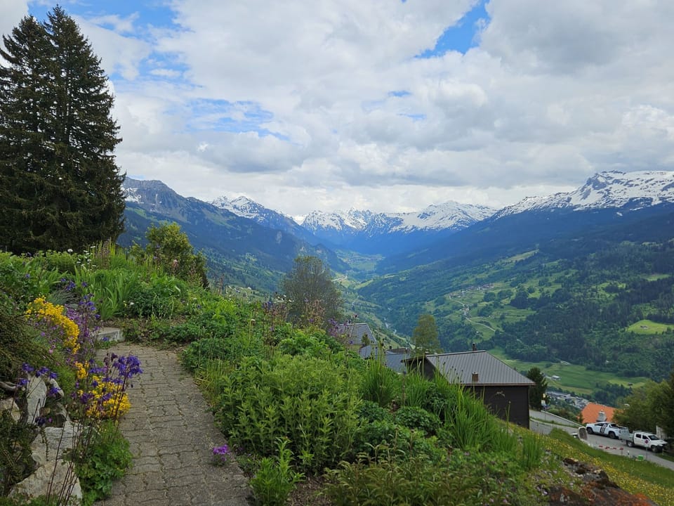 View