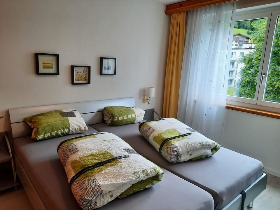 Residenz Meierhof 251 Appartement/Fewo, Dusche oder Bad, WC 2 1/2-Zimmerwohnung Apartment in Davos