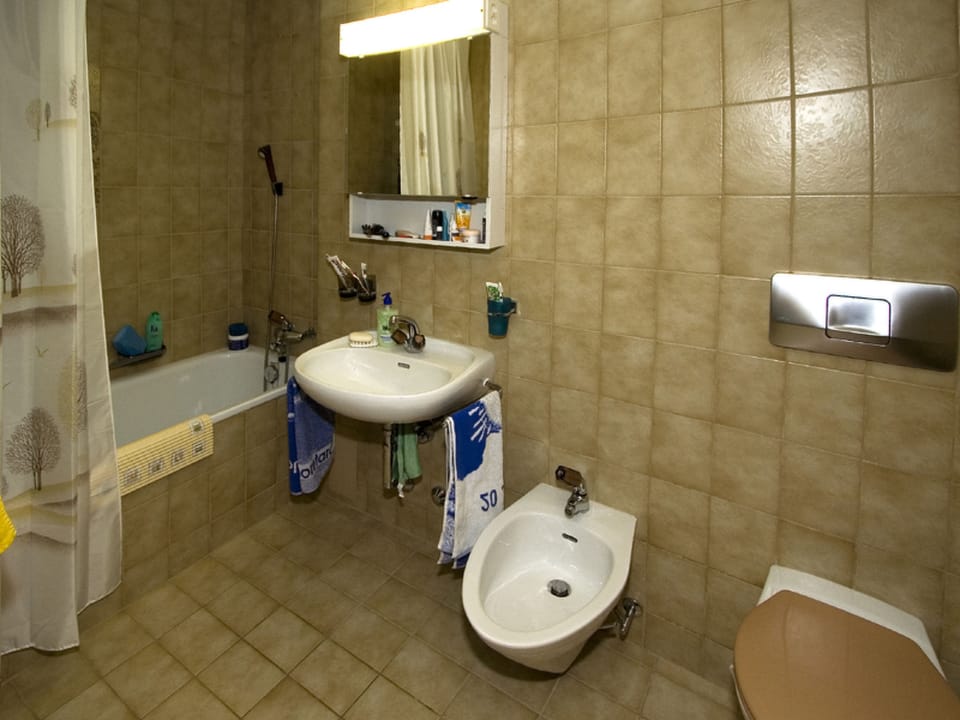 Bathroom / Wellness