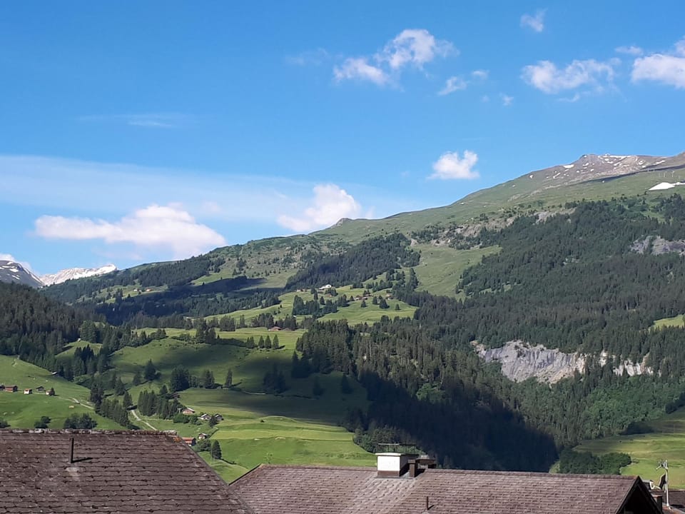 Soras Demarmels Appartement/Fewo, Dusche, WC, 2 Schlafräume Apartment in Canton of Grisons