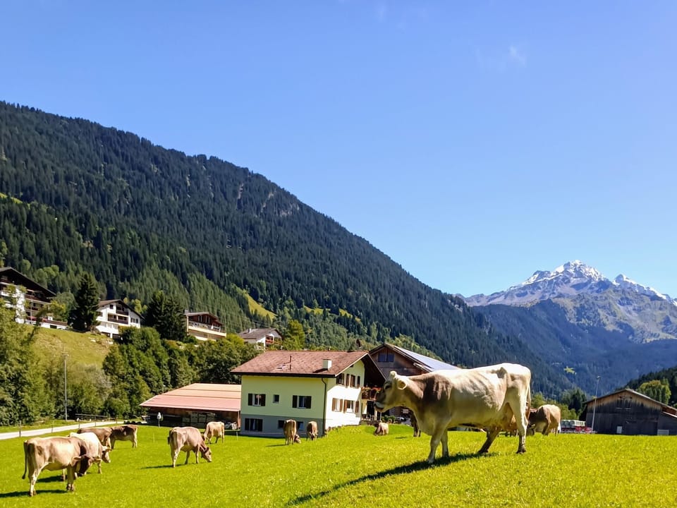 Bauernhof Sot Curtegns Appartement/Fewo, Bad, WC, 2 Schlafräume Apartment in Canton of Grisons