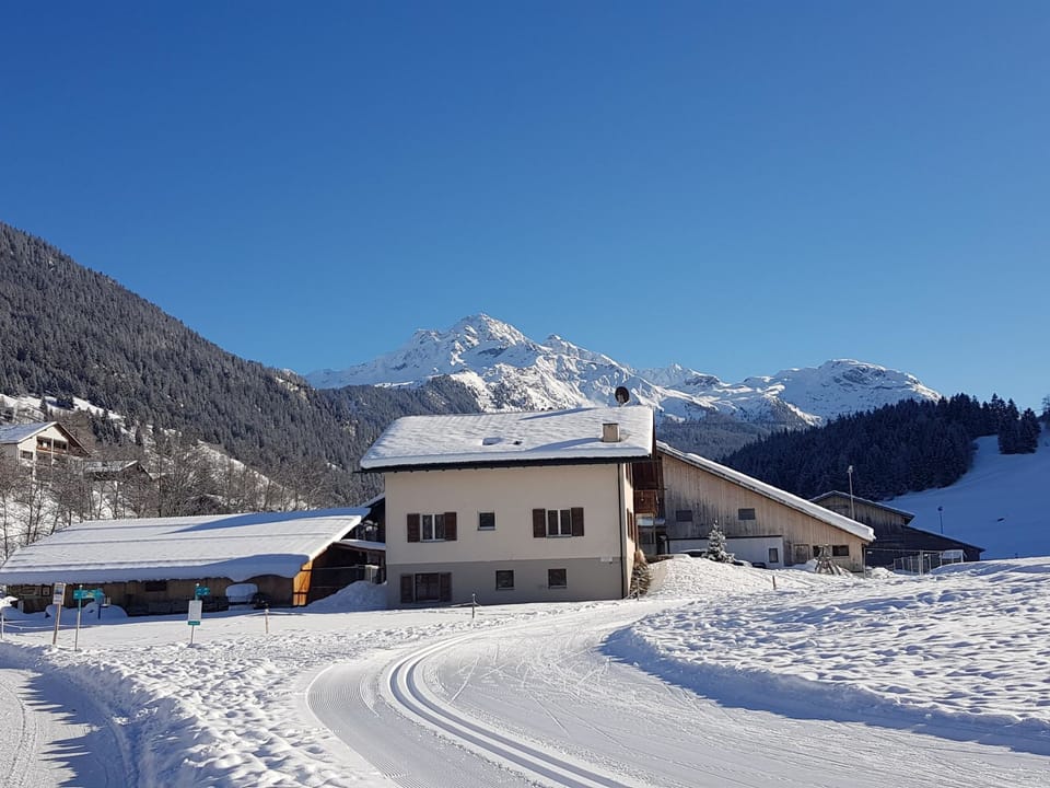 Bauernhof Sot Curtegns Appartement/Fewo, Bad, WC, 2 Schlafräume Apartment in Canton of Grisons