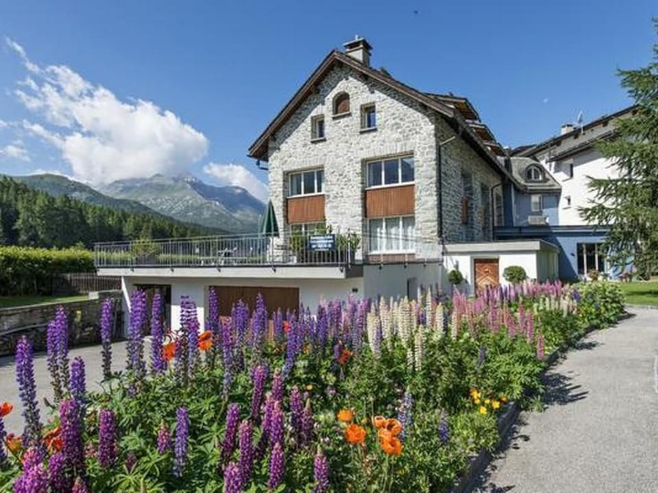 Residenz Soliva App. Viola Apartment in Samedan