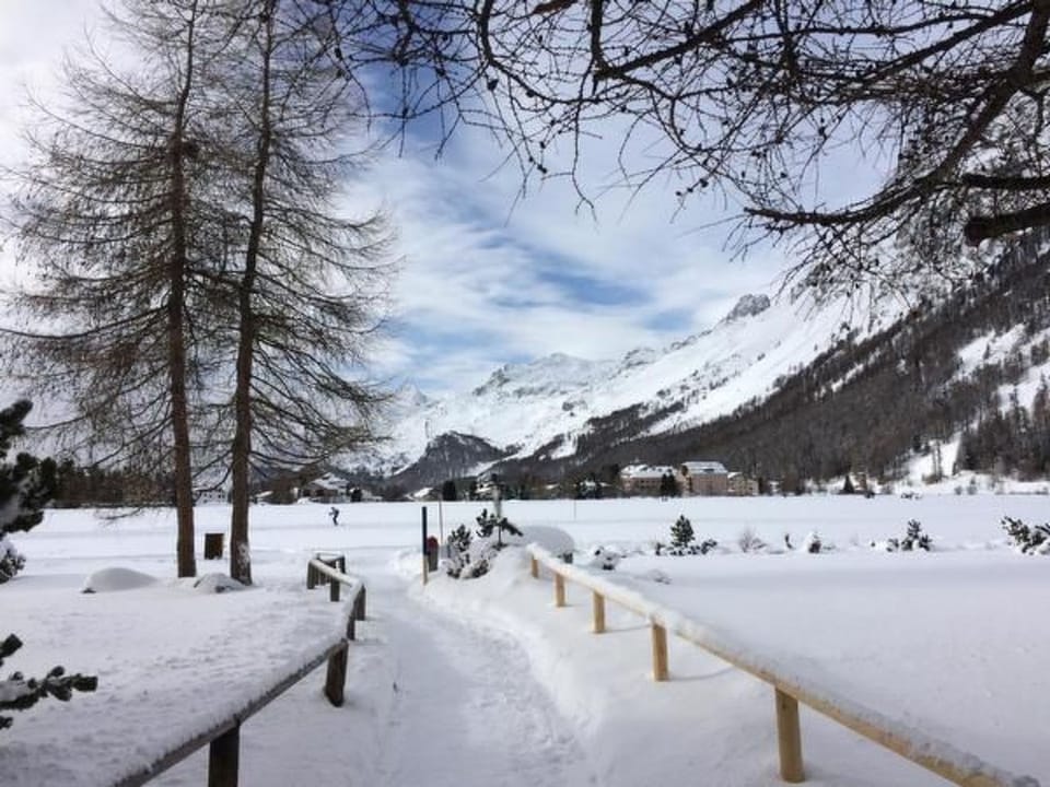 Chesa Rabgiusa 2 Apartment in Samedan