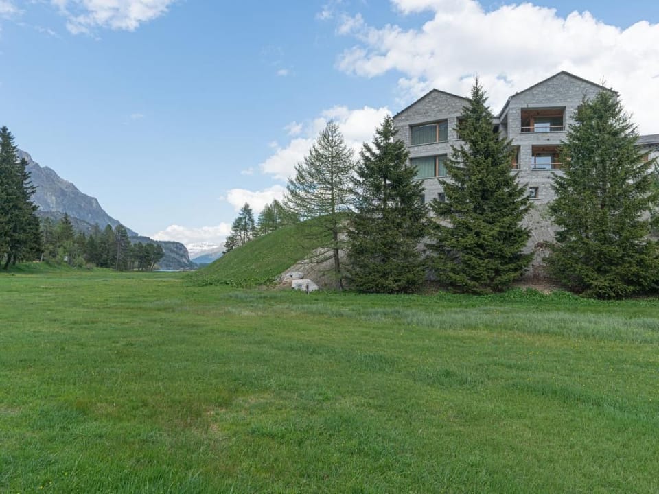 Chesa Piol Apartment in Canton of Grisons